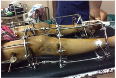 Screenshot-2026-04-11-113302